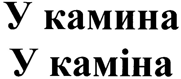 у камина