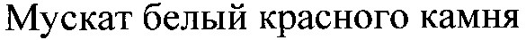 мускат белый красного камня