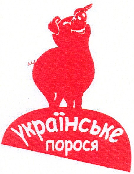 українське порося