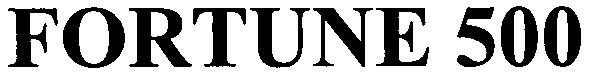 fortune 500