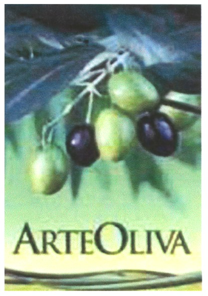 arte oliva