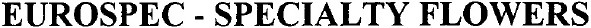 eurospec specialty flowers