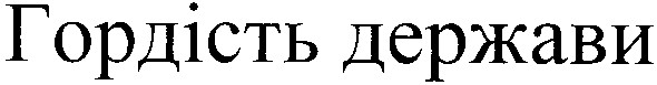 гордість держави