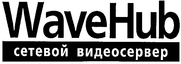 сетевой видеосервер