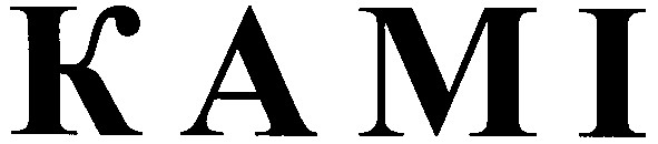 kami