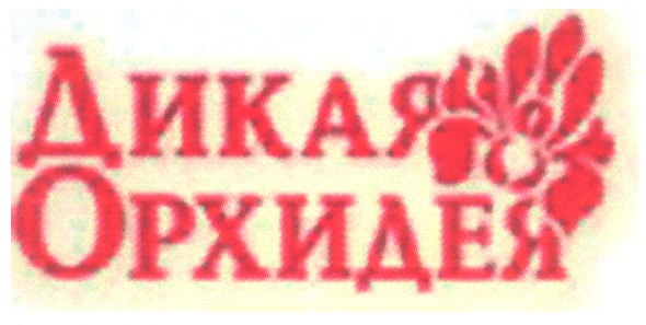 дикая орхидея