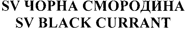 sv чорна смородина
