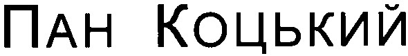пан коцький