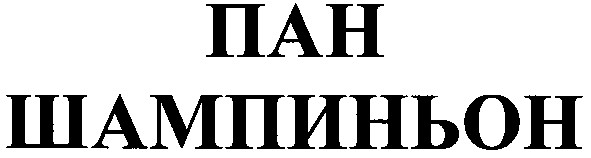 пан шампиньон