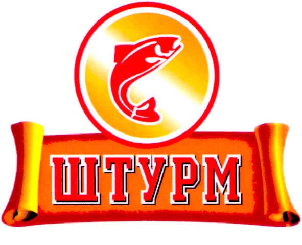штурм
