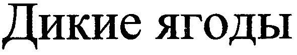 дикие ягоды