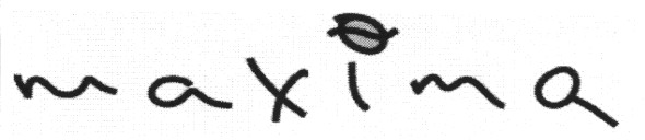 maxima