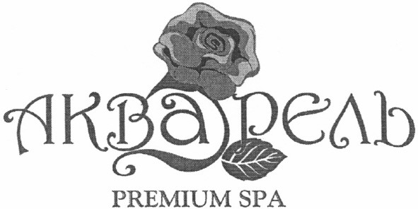 premium spa