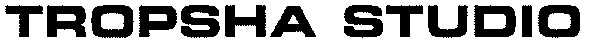 tropsha studio