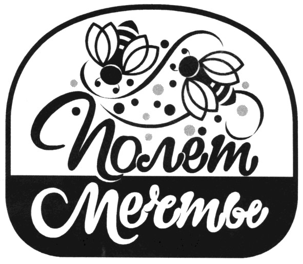 полет мечты