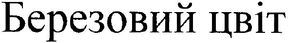 березовий цвіт