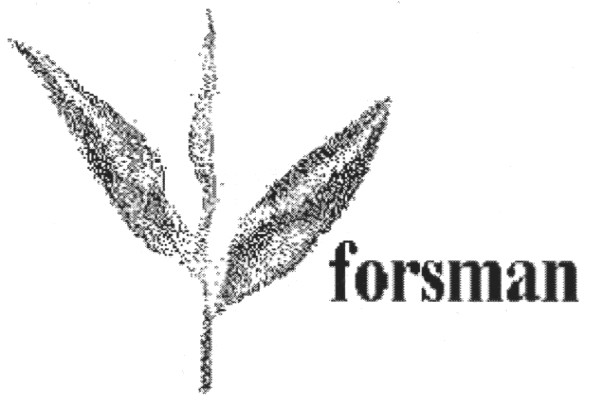 forsman
