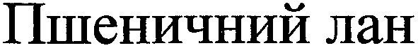 пшеничний лан