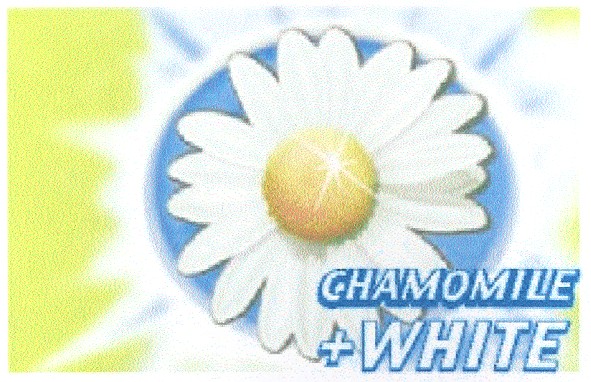 chamomile+white