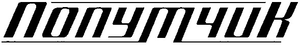 попутчик