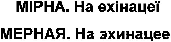 мерная.на эхинацее