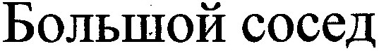 большой сосед