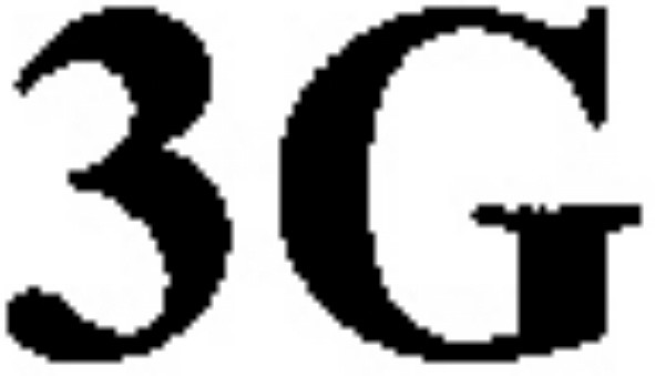 3g