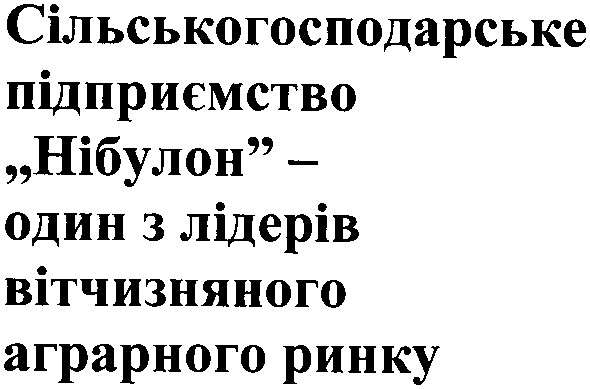 сільськогосподарське підприємство нібулон-один з лідерів вітчизняного аграрного ринку