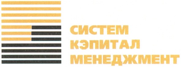 систем кэпитал менеджмент