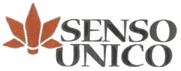 senso unico