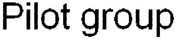 pilot group