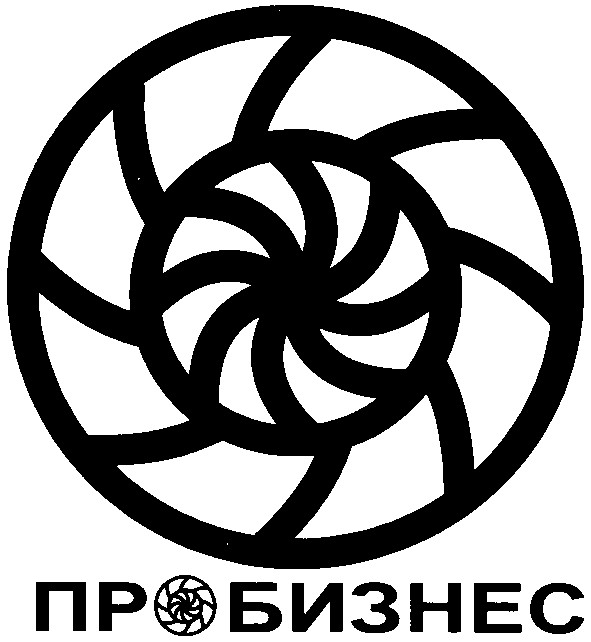 пробизнес
