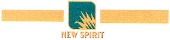 new spirit