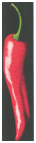 Фігуративна марка № m200610259