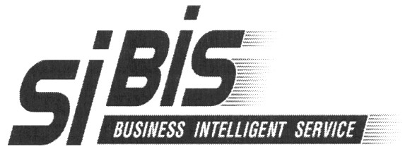 bisiness intelligent service