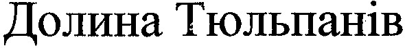 долина тюльпанів