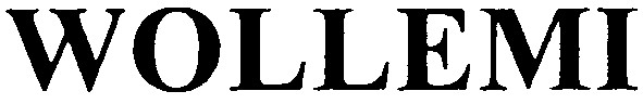 wollemi