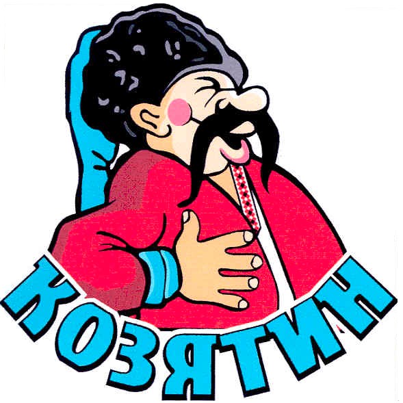 козятин