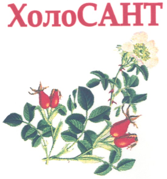 холо сант