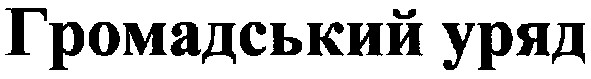 громадський уряд