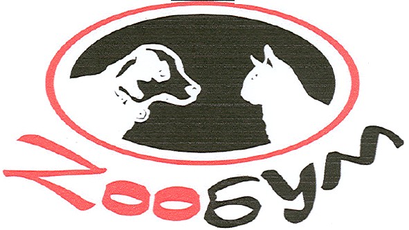 zoo бум