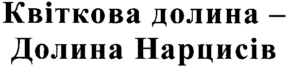 квіткова долина-долина нарцисів