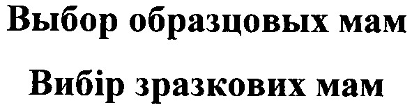 выбор образцовых мам