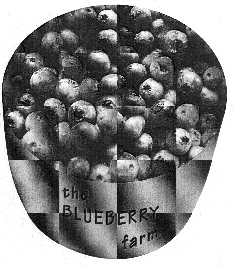 the blueberry farm