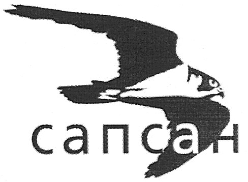 сапсан