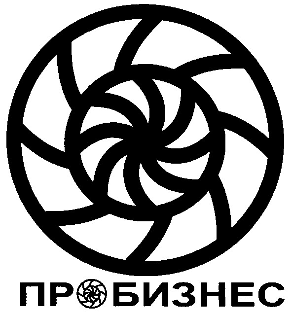 пробизнес