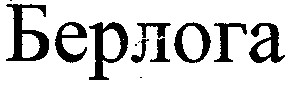 берлога