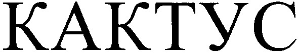 кактус
