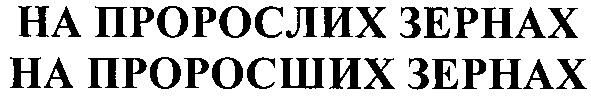 на пророслих зернах