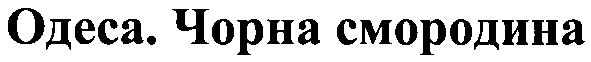 одеса.чорна смородина